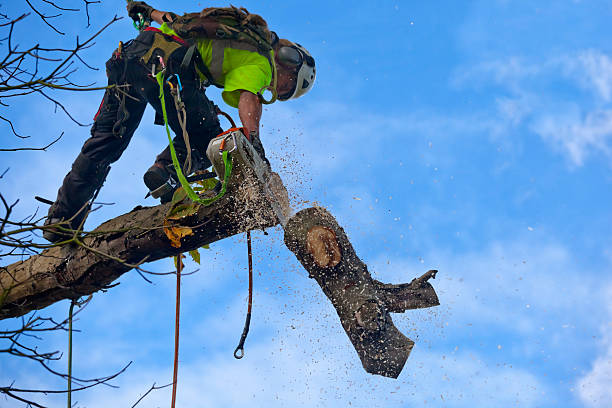 Mulching Services in Clintonville, WI